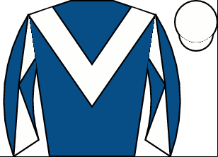 Horse silk