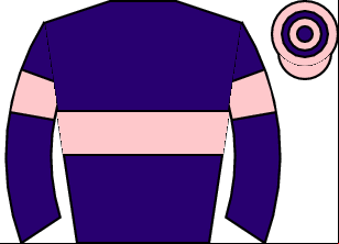 Horse silk
