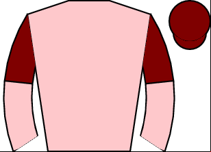 Horse silk