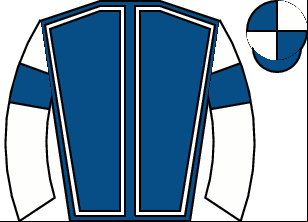 Horse silk