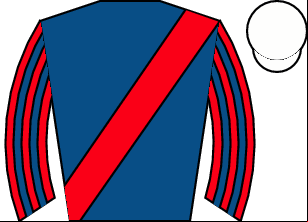 Horse silk