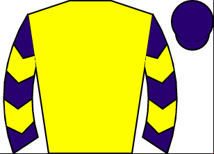 Horse silk