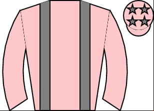 Horse silk