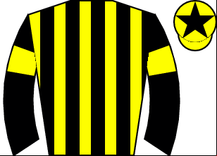 Horse silk