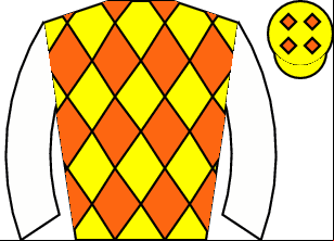 Horse silk