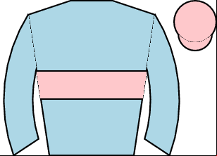 Horse silk