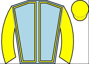 Horse silk