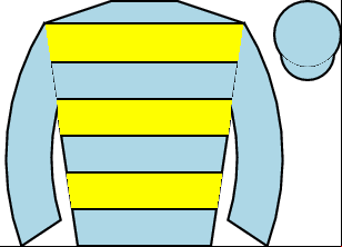 Horse silk