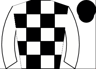 Horse silk