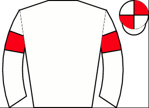 Horse silk