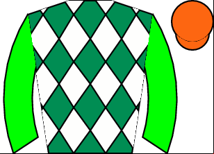 Horse silk