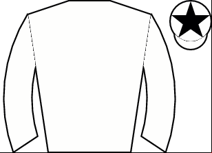 Horse silk