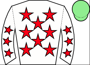 Horse silk