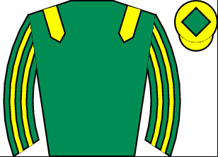 Horse silk