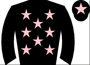 Horse silk