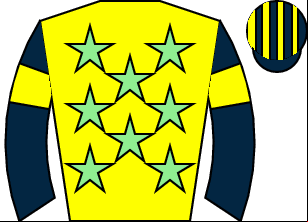 Horse silk
