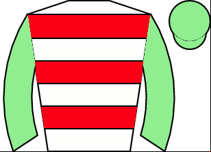 Horse silk