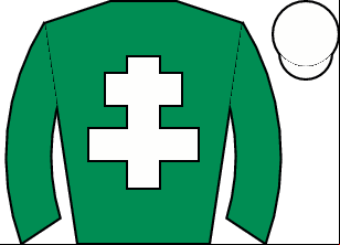 Horse silk