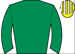 Horse silk