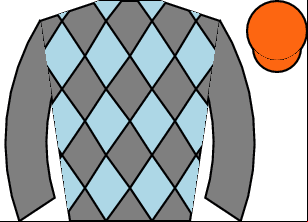Horse silk