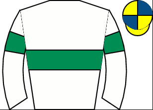 Horse silk