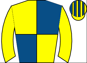 Horse silk