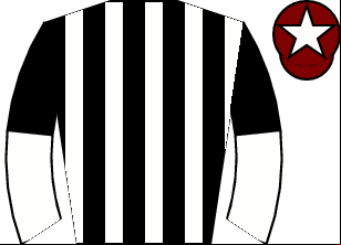 Horse silk