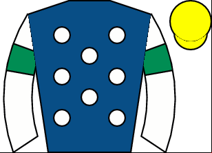 Horse silk
