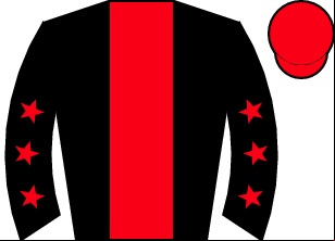 Horse silk