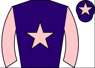 Horse silk
