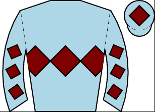 Horse silk