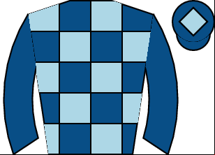 Horse silk