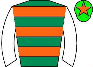 Horse silk