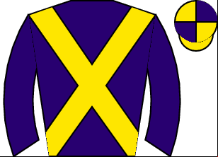 Horse silk
