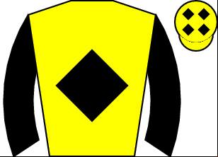 Horse silk