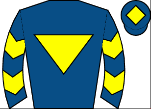 Horse silk