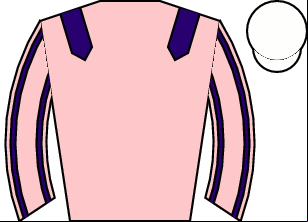 Horse silk