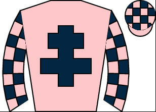 Horse silk