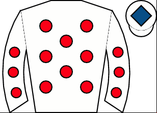 Horse silk