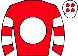 Horse silk