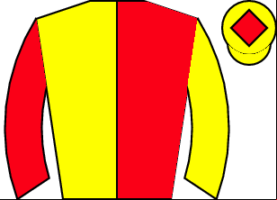 Horse silk