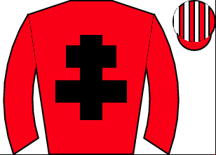 Horse silk