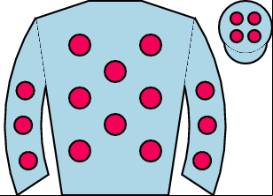 Horse silk