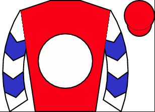 Horse silk