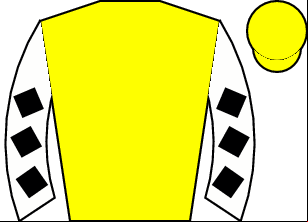 Horse silk