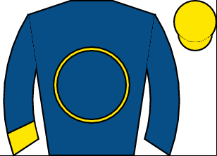 Horse silk