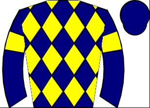 Horse silk
