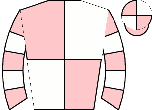 Horse silk