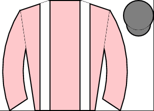 Horse silk