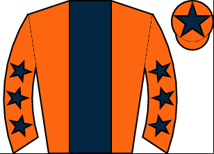 Horse silk